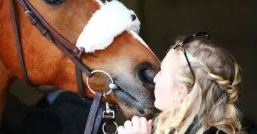 COVID 19 Peut-on s'occuper de son cheval s'il se trouve en dehors de la zone de 10km