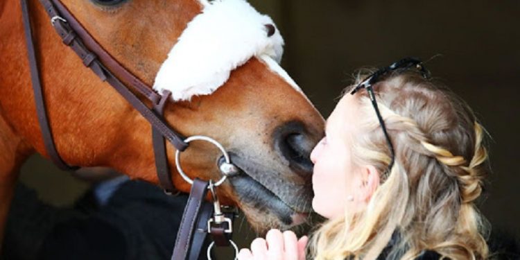 COVID 19 Peut-on s'occuper de son cheval s'il se trouve en dehors de la zone de 10km