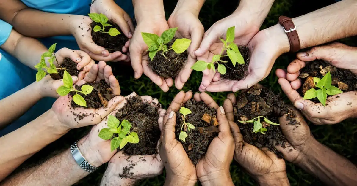 Pourquoi se faire former dans une école de nouveaux métiers de la transition écologique ?