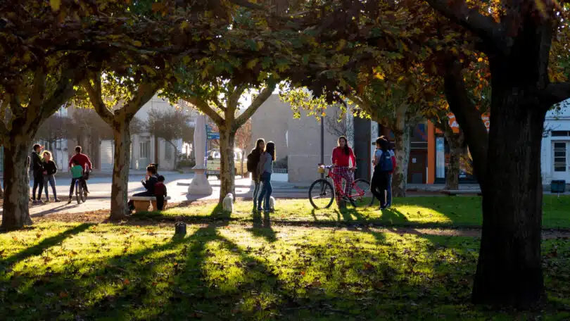 Amiens, une ville étudiante réputée...