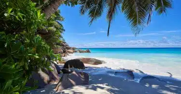 Visiter les Seychelles : que faire et visiter ?