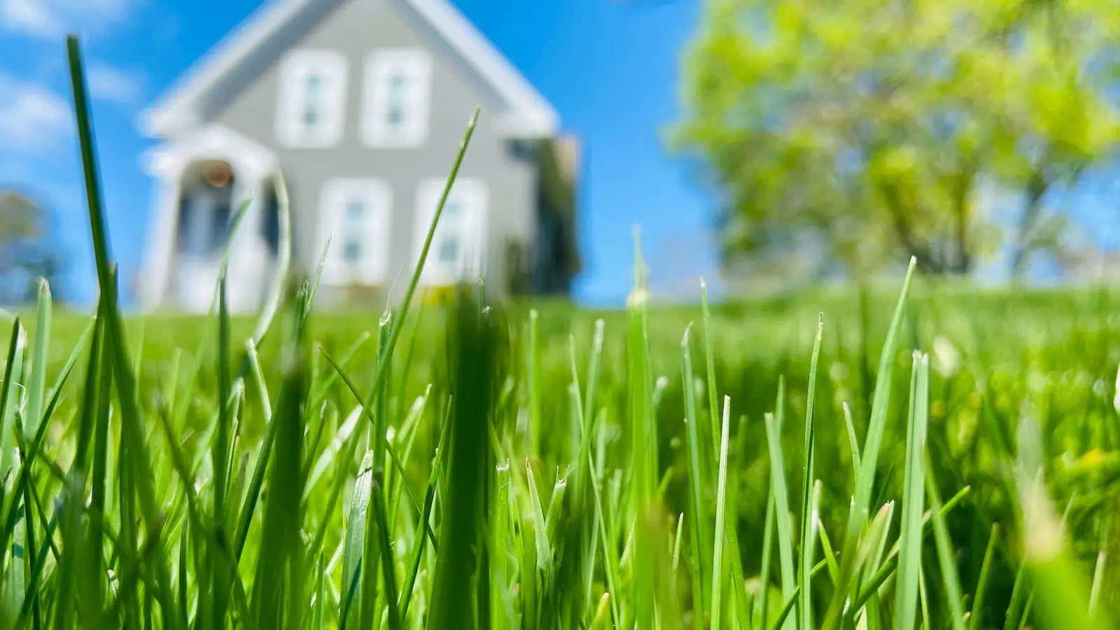 white and blue house in green grass field