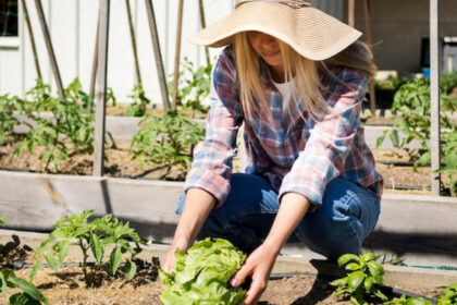 Planifier, arroser, récolter : maximiser la gestion du potager avec une application