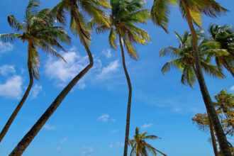 Punta Cana : évasion tropicale et souvenirs inoubliables !