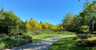 green grass field with trees under blue sky during daytime