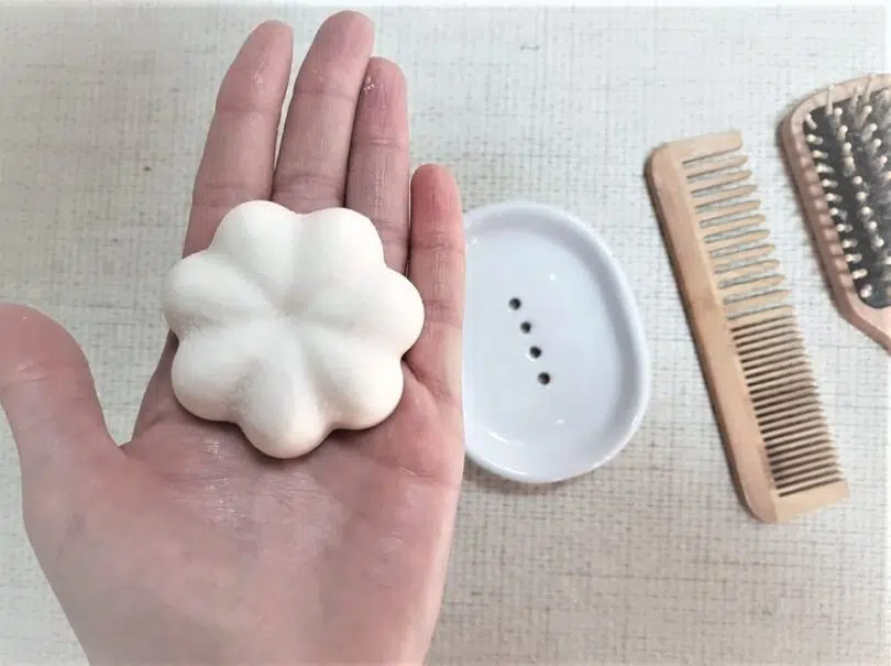 shampoing solide